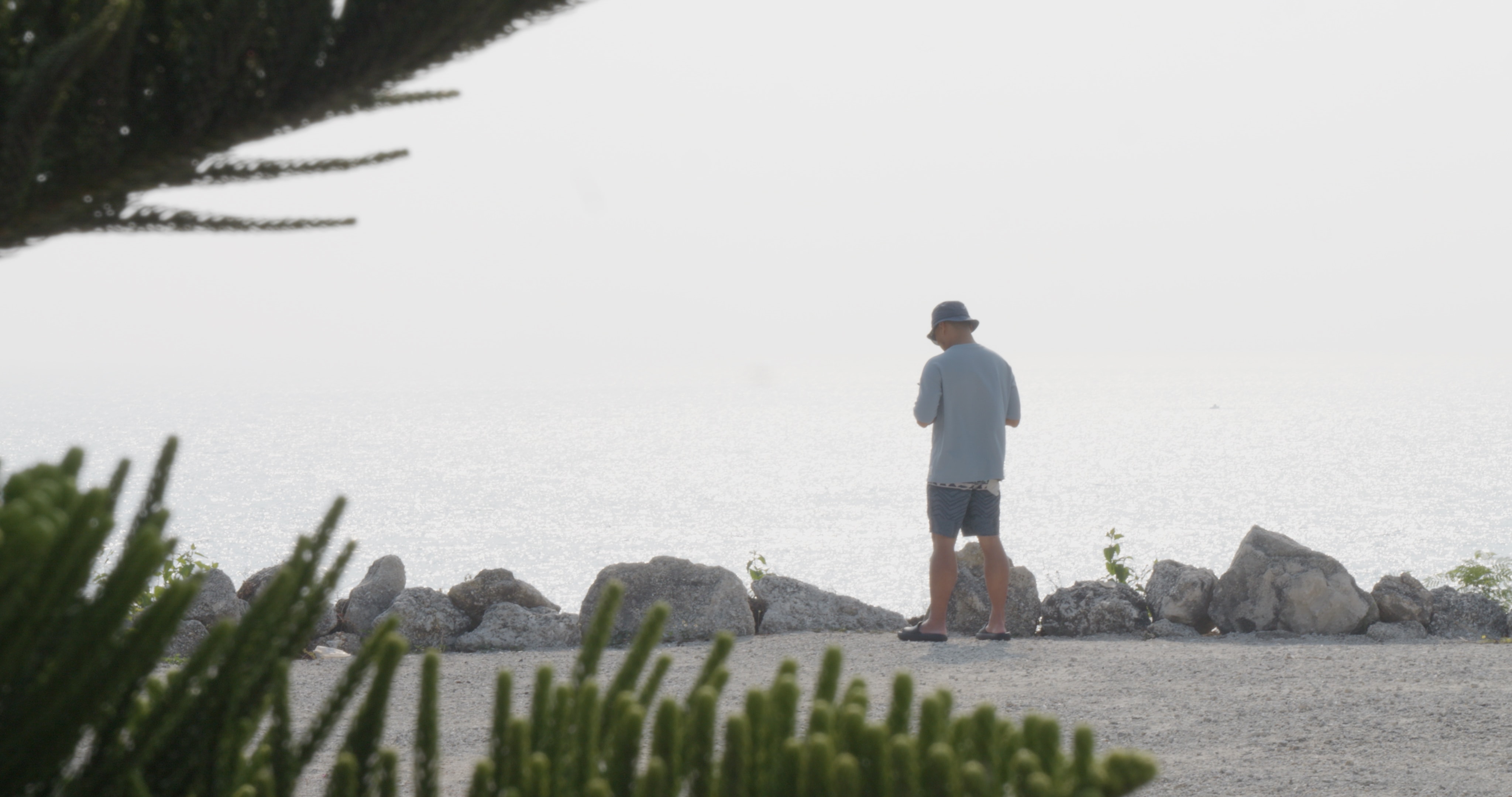 尋革龜 Seeking Tabob